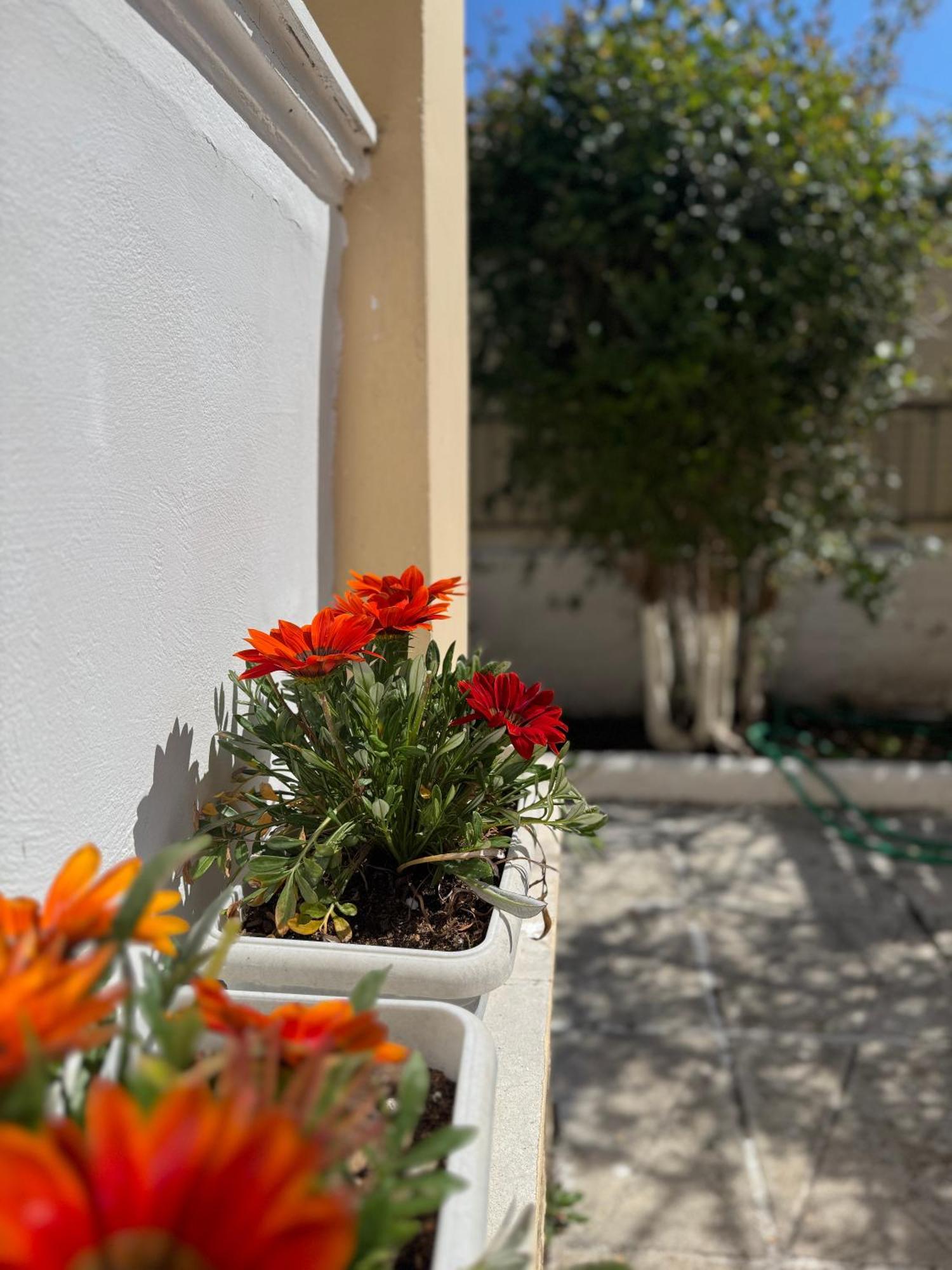 Corfu-Apartments4You Acharavi  Ngoại thất bức ảnh